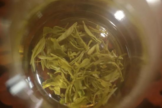 碧螺春正確泡法和飲用，碧螺春茶泡茶方法與溫度
