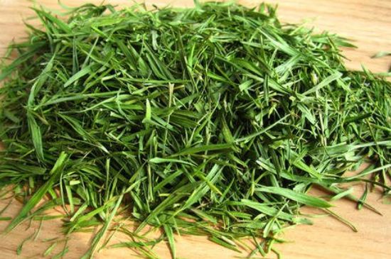 哪類人不適合喝石竹茶，石竹茶的功效與禁忌