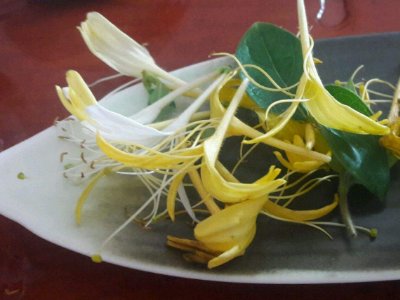 喝茶治口臭嗎，什么茶治口臭好？