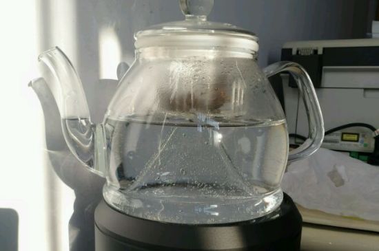 蒸茶和煮茶的區(qū)別，蒸茶和煮茶哪個好