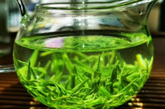 喝黃金茶禁忌，什么人不能喝黃金芽茶？