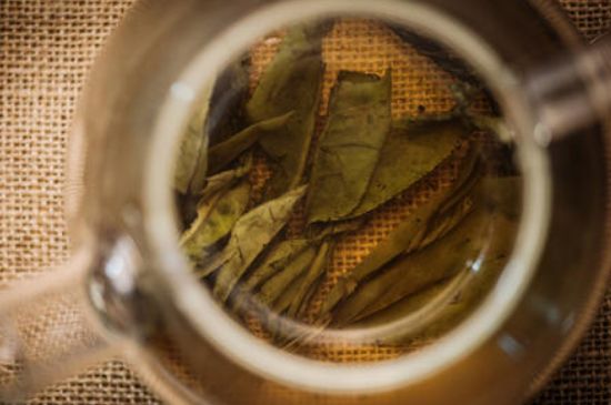 苦丁茶副作用，苦丁可以經(jīng)常喝嗎？