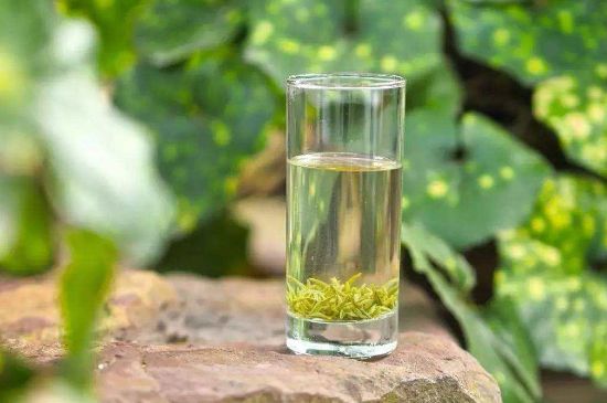 碧螺春沖泡三要素，碧螺春怎么泡才正確？