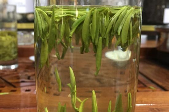 雀舌茶的副作用，雀舌茶什么人不能喝？