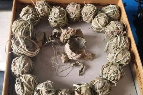 鷓鴣茶用拆開泡嗎，鷓鴣茶要解開繩子泡嗎