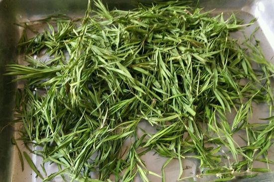 哪類人不適合喝石竹茶，石竹茶的功效與禁忌