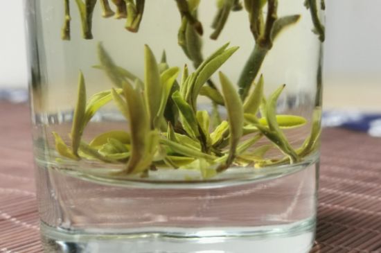 黃山毛峰怎么沖泡，黃山毛峰要多少溫度的水泡？