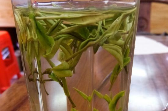 云霧綠茶的功效及禁忌，哪些人不適合喝云霧茶