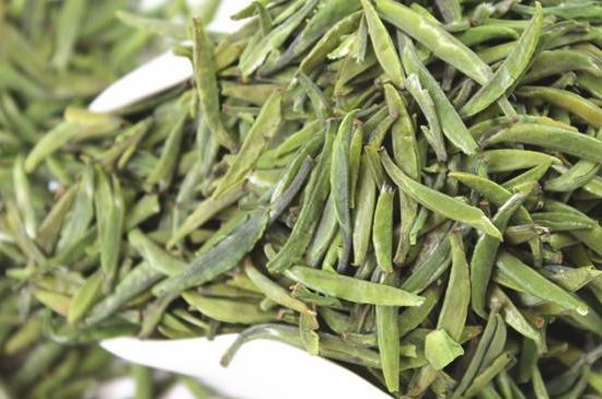 雀舌茶什么人不能喝，雀舌茶的功效與禁忌