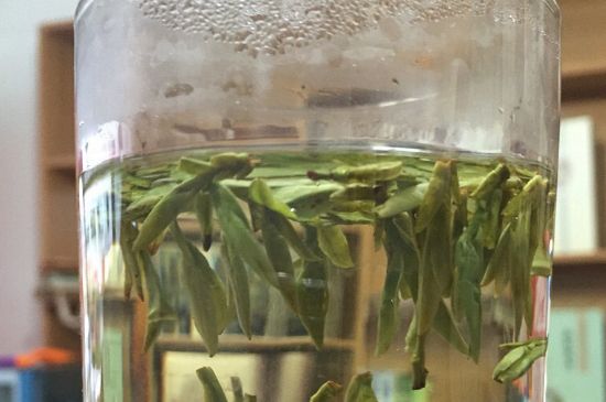 煮茶器能煮龍井嗎，龍井茶能不能用煮茶器圖