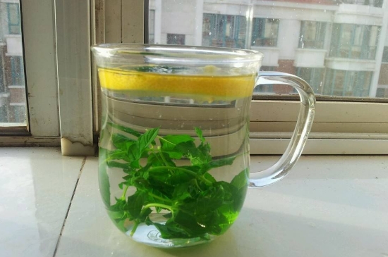 薄荷茶的功效與作用，喝薄荷茶有什么好處？