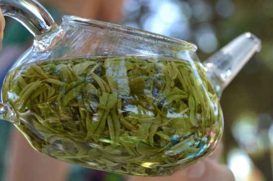 新手學(xué)泡茶的基本常識，從零開始學(xué)泡茶