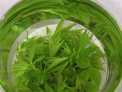 茶葉具有什么功效，茶葉的功效與作用大全