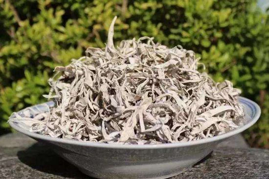 麗江雪茶的功效與作用，白雪茶有什么功效和作用