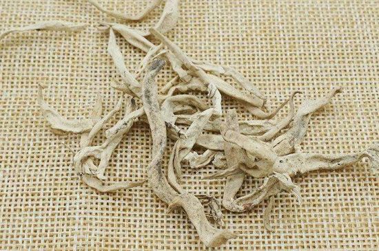 麗江雪茶的功效與作用，白雪茶有什么功效和作用