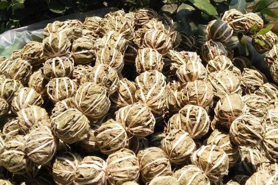 鷓鴣茶的禁忌，海南鷓鴣茶副作用