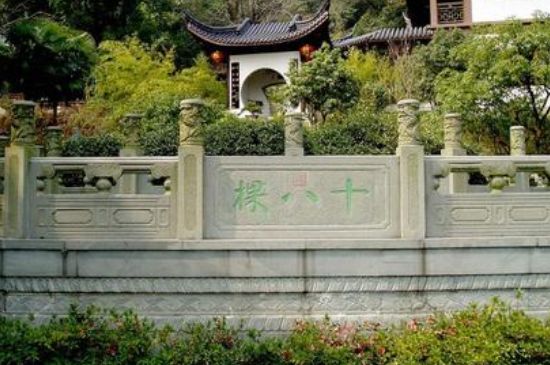 世界最貴的茶葉排行榜，十大最貴的茶