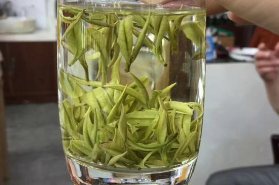 茶葉過期5年了但沒開封，茶葉放久了能喝嗎