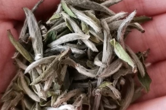如何買茶葉不上當，怎么買茶葉不被坑？