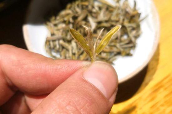 六大茶類哪種適合長期存放，日常如何保存方法一覽？