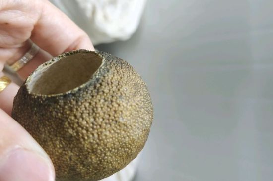 小青柑多少錢一盒，新會(huì)小青柑普茶價(jià)格一斤多少