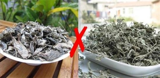 張家界茅巖莓茶與藤茶是同一種茶嗎，藤茶跟莓茶一不一樣？