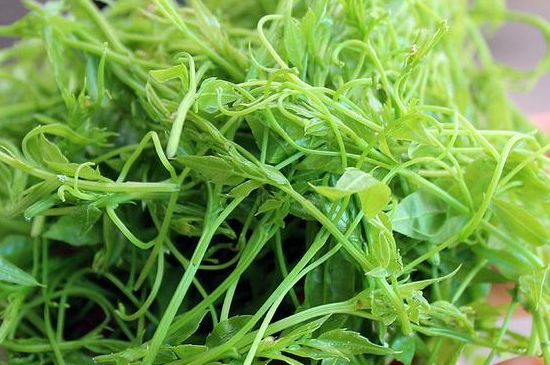 茅巖莓茶別名是什么，莓茶別名叫藤茶嗎？