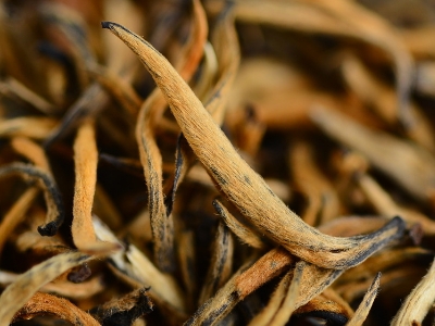 怎么知道什么茶葉適合自己，怎么判斷自己適合喝什么茶？