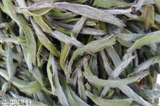 春茶季怎么辨別白毫銀針的好壞，好的白毫銀針如何選購(gòu)？