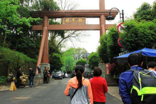 杭州買龍井茶攻略，怎么買到正宗的西湖龍井？