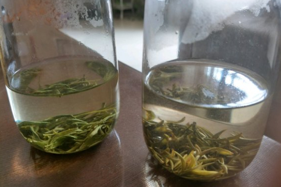 真假碧螺春泡水后區(qū)別，蘇州洞庭碧螺春怎樣鑒別好壞？