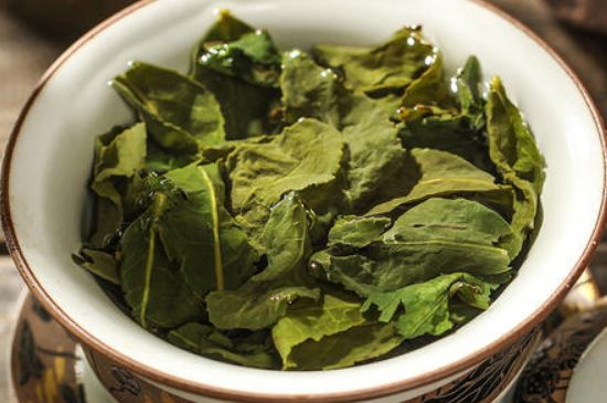 陳茶還是新茶好，茶葉是新茶好喝還是陳茶好喝