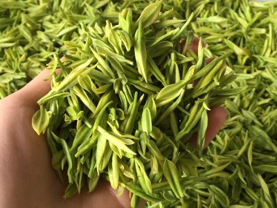 白茶品質(zhì)如何區(qū)分，白茶的優(yōu)劣質(zhì)量辨別方法