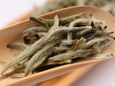白毫銀針?lè)艓啄曜詈茫缀零y針什么年份最好？