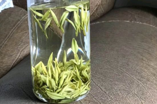 安吉白茶夏天怎么保存，安吉白茶能冷凍儲存嗎？