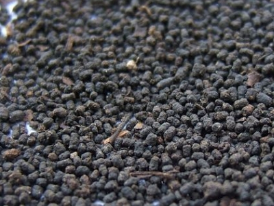 圓形顆粒狀茶是什么茶，像飼料一樣一粒粒的是什么茶？