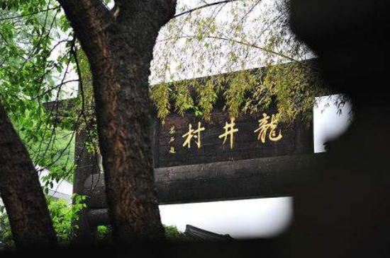 杭州買龍井茶攻略，怎么買到正宗的西湖龍井？