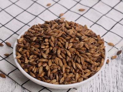 圓形顆粒狀茶是什么茶，像飼料一樣一粒粒的是什么茶？