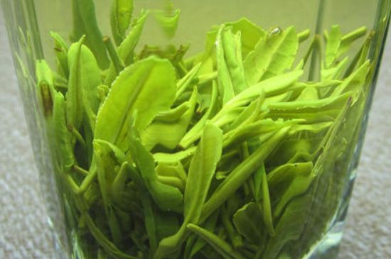 哪種茶葉可以放冰箱，哪些茶不能放冰箱？