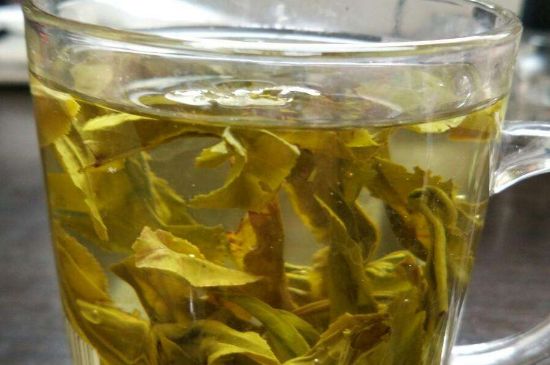 茉莉龍珠可以和什么一起泡茶，茉莉龍珠茶能加蜂蜜嗎？