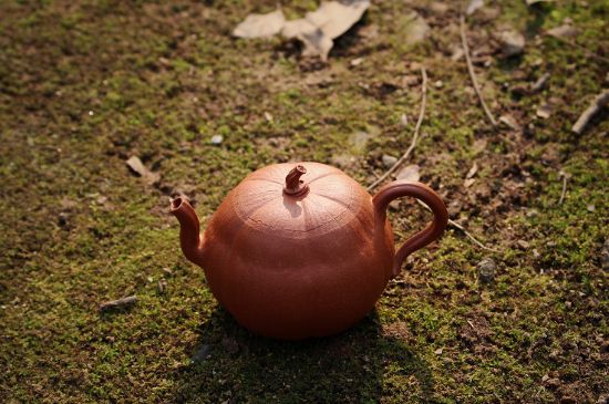 紫砂壺泡什么茶最佳，紫砂壺一般泡什么茶？