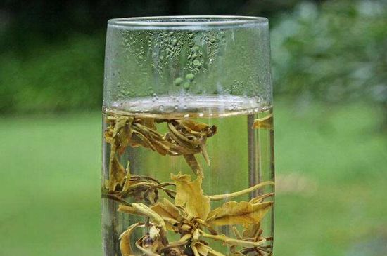 茉莉龍珠什么人不能喝，茉莉龍珠茶什么體質(zhì)不能喝？