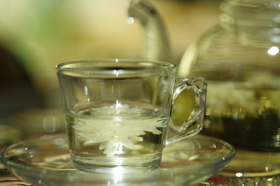 菊花茶天天喝行嗎，每天喝菊花泡茶喝好嗎？