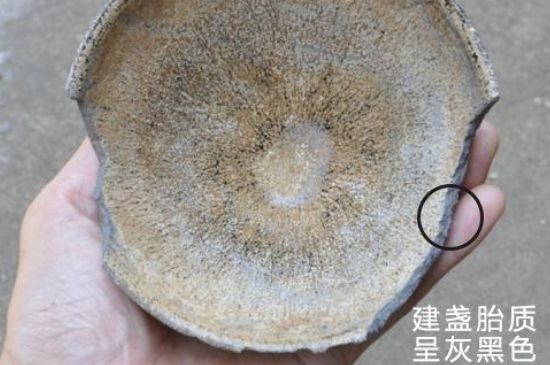 假建盞的特點(diǎn)，真假建盞區(qū)分帶圖