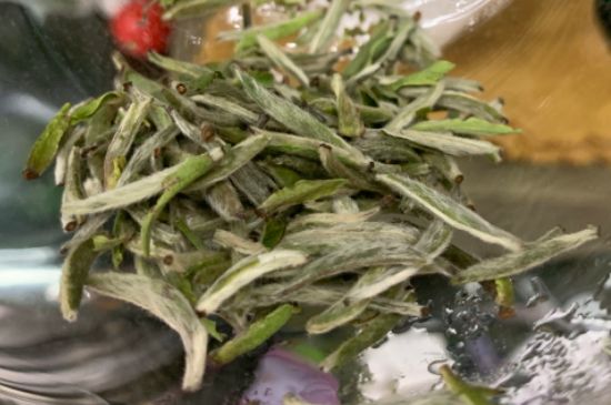 蒸汽煮茶器適合什么茶，蒸汽煮茶器適合用綠茶嗎？