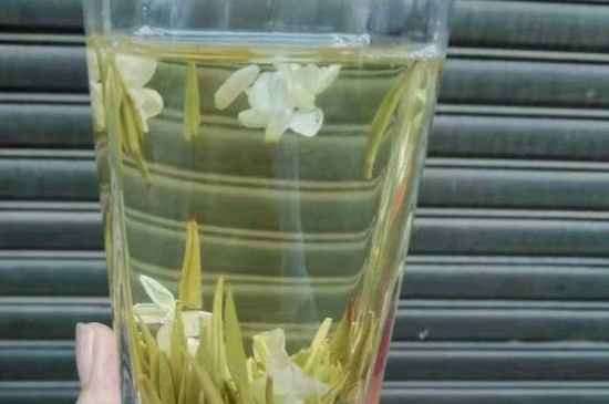 茉莉茶能天天喝嗎，茉莉花茶一周喝幾次