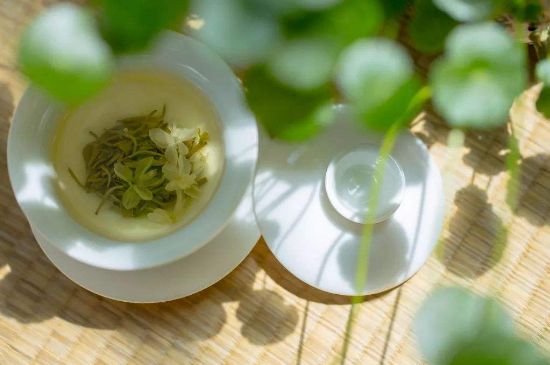 茉莉花茶6種人不要喝，什么體質不適合喝茉莉花茶？