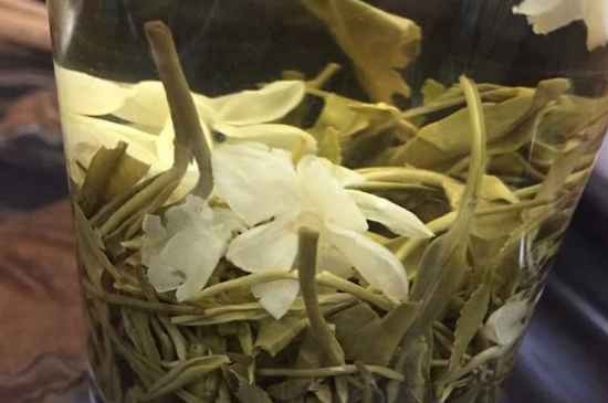 女孩喝茉莉茶的好處，茉莉茶葉的功效與禁忌