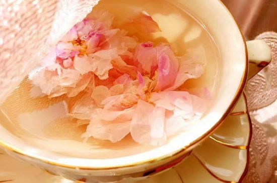 玫瑰花茶一周喝幾次，玫瑰花茶可以天天喝嗎？