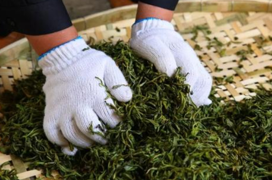 綠茶加工工藝流程圖，綠茶的加工制作包含哪幾個(gè)步驟？